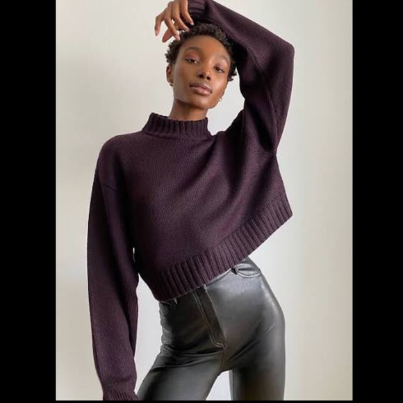 Aritzia Sweaters - Wilfred Free “Harper” Sweater 100% Merino Wool in “Noble” Colourway